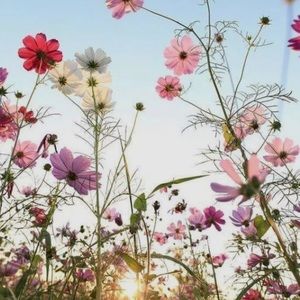 Meet your Posher, Kyli